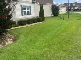 Lori K.'s Lawn Mowing service result