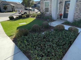 Lori D.'s Lawn Mowing service result