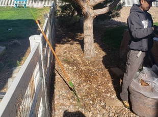 Cleanups by Carlos Mendoza for Marc S. in Aurora, CO