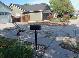 Cleanups by Mia Berta for Brendan B. in Reno, NV