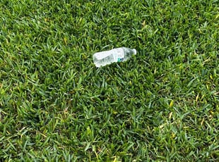 Nelson M.'s Lawn Service service result
