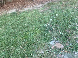 Cleanups by Jackie Dixon for hadley s. in Birmingham, AL