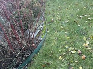 Weeding by Luis Contreras for Jeffrey C. in McCordsville, IN