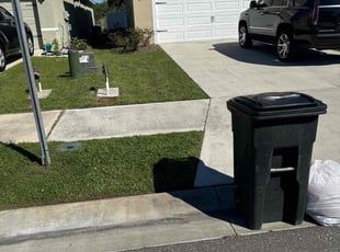 Alex I.'s Lawn Maintenance service result