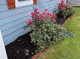 Landscaping by Kevin Glenn for Ashlyn s. in Memphis, TN