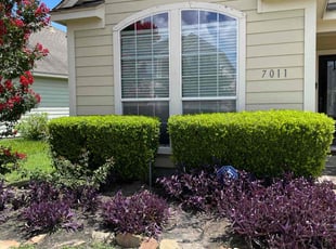 Weeding by Abraham Flores for alisa f. in Richmond, TX