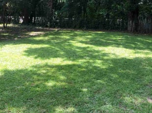 Amber Z.'s Lawn Care service result