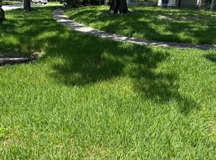 Brenda K.'s Yard Cutting service result