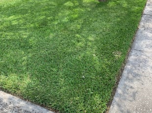 Jim A.'s Grass Cutting service result