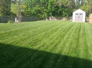 Kyle E.'s Lawn Mowing service result
