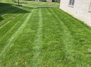 Bradlee W.'s Lawn Care service result