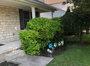 Bush Trimming by Dave Ehrenberg for Andrea R. in Lewis Center, OH