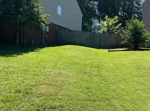 Janet F.'s Lawn Service service result