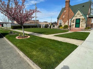 Glenda H.'s Lawn Mowing service result
