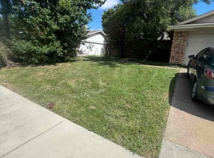 Weeding by Quentin Morgan for Meghan S. in Lewisville, TX