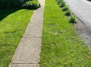 Rudolph D.'s Lawn Care service result