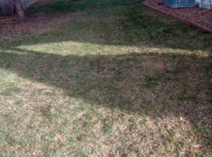 Leaf Removal by Joseph Zika for Hanan W. in Minneapolis, MN