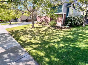 Maya W.'s Lawn Care service result