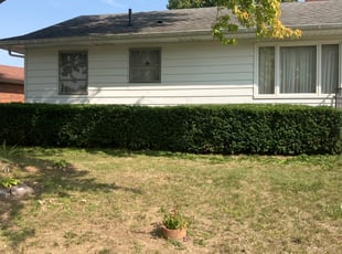 Bush Trimming by Alexander Pellot Ayala for John C. in Grove City, OH