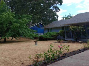 Bush Trimming by Weston Robinson for Silva A. in Olympia, WA