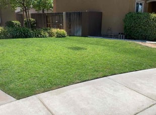 Jamillah O.'s Lawn Service service result