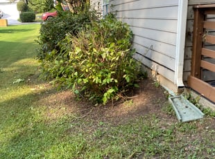 Weeding by Delbert Rosa for Lyle K. in Lithonia, GA
