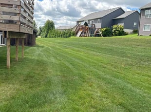 Tyree C.'s Grass Cutting service result