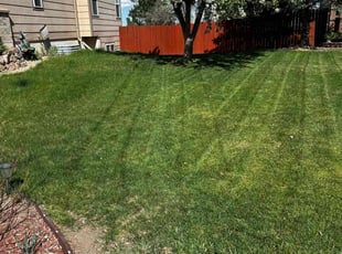 David C.'s Lawn Care service result