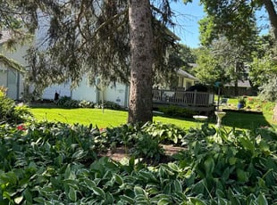 Sharon R.'s Lawn Service service result