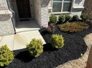 Ashley S.'s Lawn Service service result