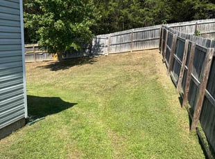 Meaghan C.'s Lawn Mowing service result
