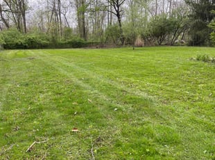 Elizabeth L.'s Lawn Maintenance service result