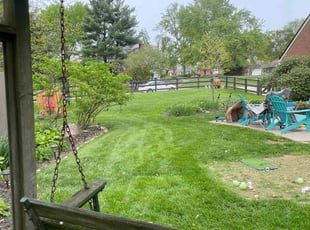 Richard B.'s Yard Cutting service result