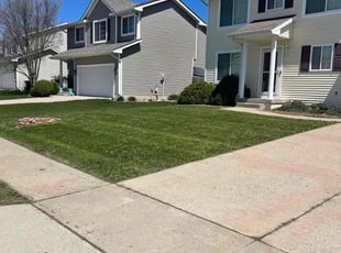 Vector B.'s Lawn Care service result