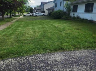 Eric H.'s Yard Cutting service result