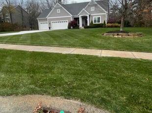 Holly K.'s Lawn Mowing service result