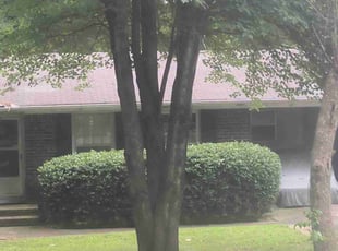 Bush Trimming by Jesse Blackshear for Art N. in Marietta, GA