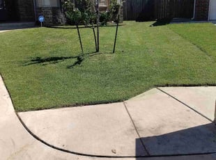 Brandy M.'s Lawn Mowing service result