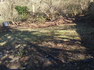 Leaf Removal by Dez Thornton for KIMBERLY M. in Cincinnati, OH