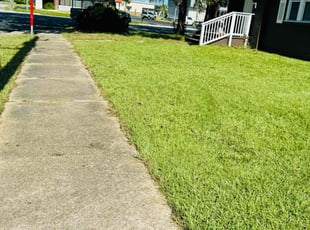 Pamela P.'s Grass Cutting service result