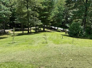 Emma P.'s Lawn Care service result