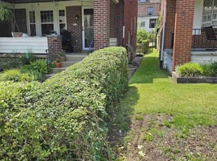Bush Trimming by Brandon Morris for Nancy A. in Pittsburgh, PA