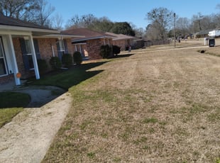 Leaf Removal by Adam Craft for mykenz b. in Baton Rouge, LA