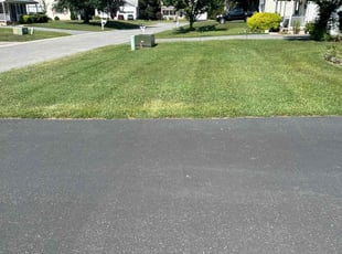 Blaine B.'s Lawn Maintenance service result