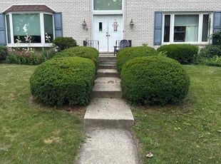 Bush Trimming by Maria Murillo for Catrina M. in Downers Grove, IL