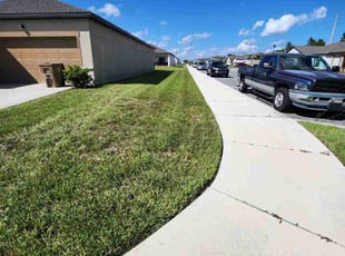 Richard V.'s Lawn Mowing service result