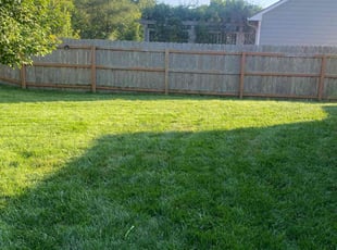 Pamella H.'s Lawn Service service result