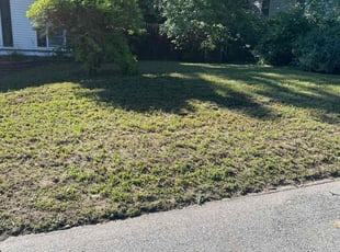 Jason B.'s Lawn Mowing service result