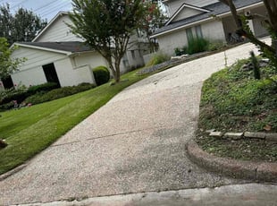 Asma S.'s Lawn Service service result