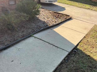 Bush Trimming by Beau Pais for Eleonore B. in Greensboro, NC
